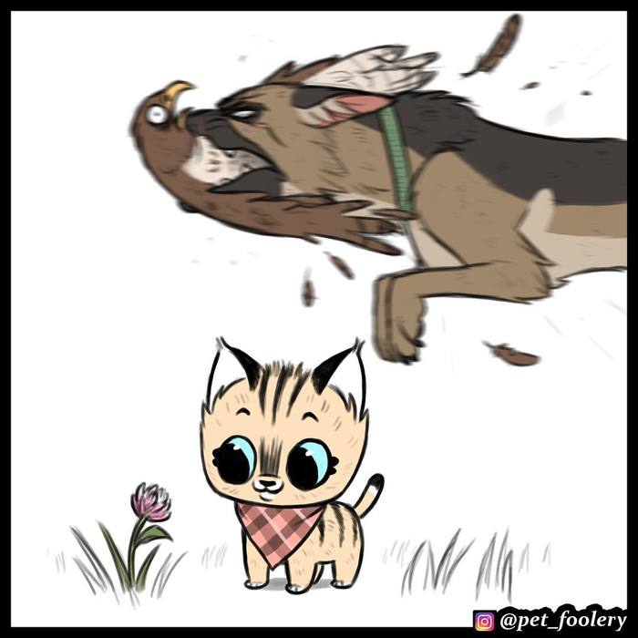 брут и пикси