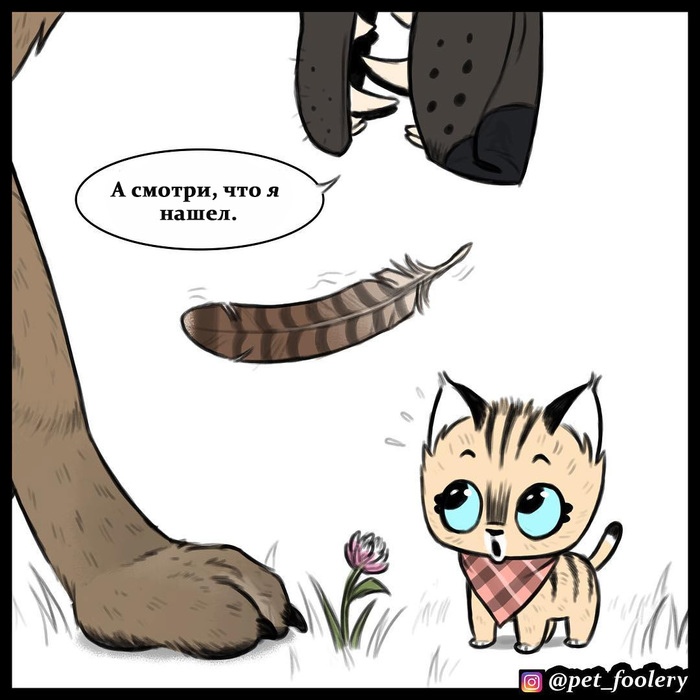 брут и пикси