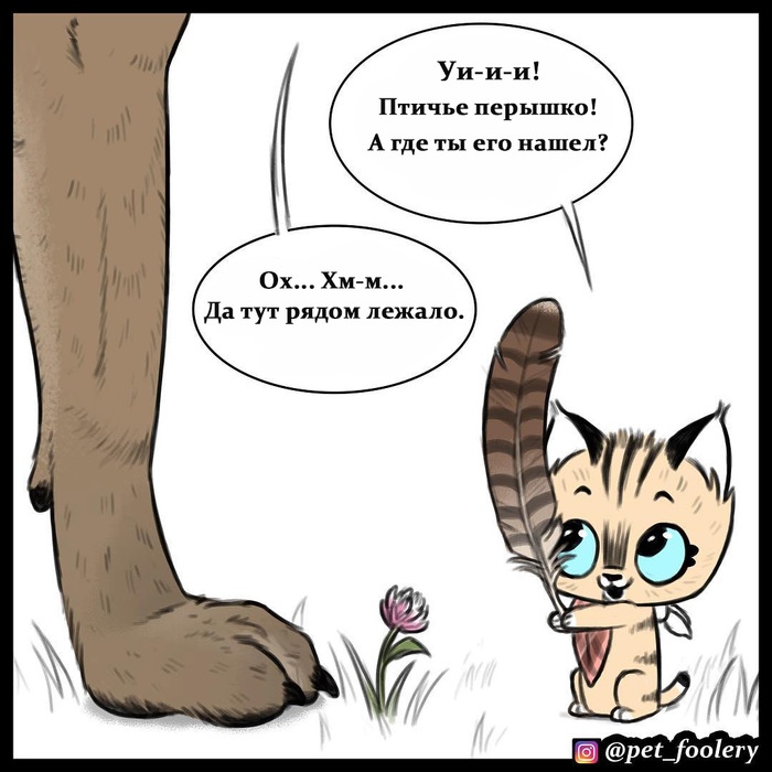 брут и пикси