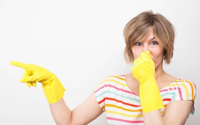 вывести запах кошачьей мочи